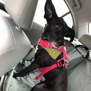 Meet your Posher, Kim